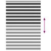 vidaXL žalūzijas zebra 165x230 cm auduma platums 160,9 cm poliesters