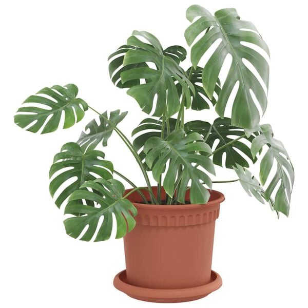 vidaXL Apaļa Ziedu Palete 6 pcs Ķieģeļu sarkans &Oslash; 14 x 2 cm Plastmasa