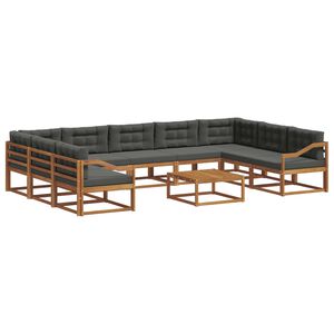 vidaXL Āra dīvānu komplekts ar spilvenu 10 pcs Dabisks un antracīts