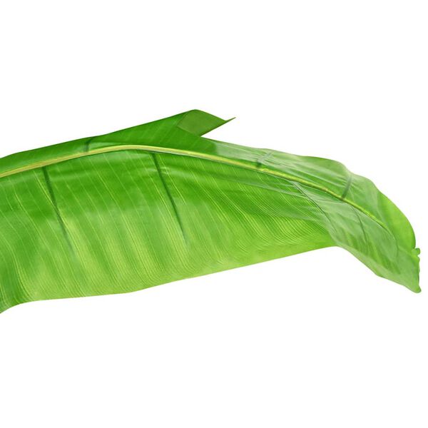 Showing Product Image 4 of 6