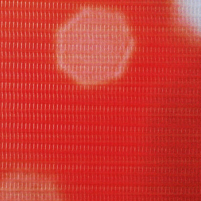 vidaXL istabas aizslietnis, 120x170 cm, saliekams, sarkans ar rozi