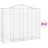 vidaXL arkveida gabiona grozi, 12gb., 200x50x160/180cm, cinkota dzelzs