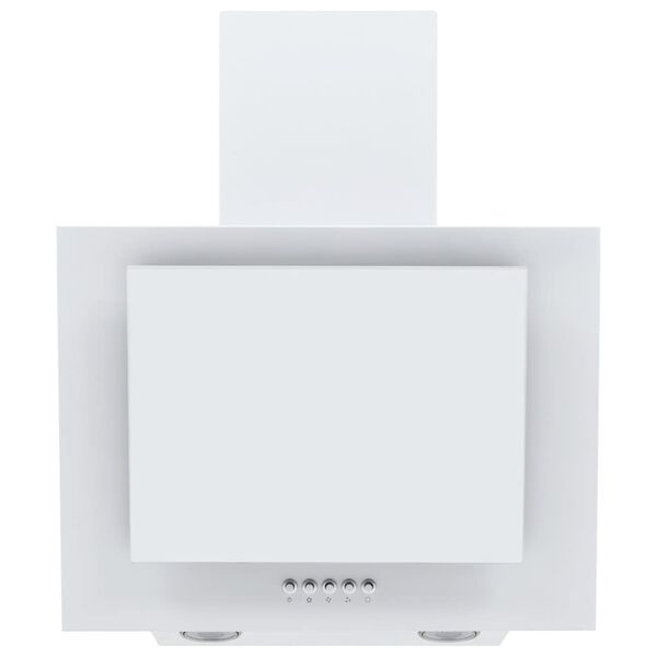 vidaXL RGB tvaika nosūcējs, LED, 60 cm, tērauds un rūdīts stikls