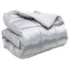 vidaXL Ziemas gultas sega 140 x 200 cm 450 gsm Sudraba
