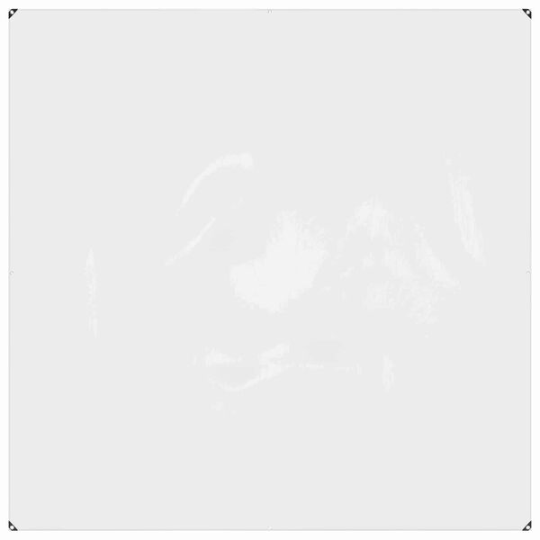 vidaXL Pārklājs ar acīm Caurspīdīgs 2 x 2 m Polietilēns