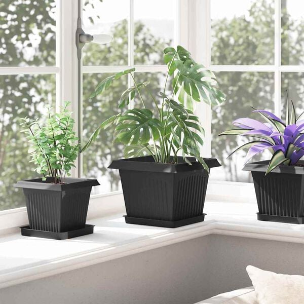 Showing Product Image 4 of 12