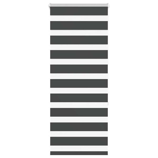 vidaXL žalūzijas zebra 60x150 cm auduma platums 55,9 cm poliesters