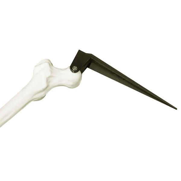 vidaXL Halloween skelets Balts 45,5 x 13 cm Plastmasa