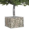 vidaXL Gabions pacelta gulta Sudraba 60 x 60 x 40 cm Cinkots tērauds