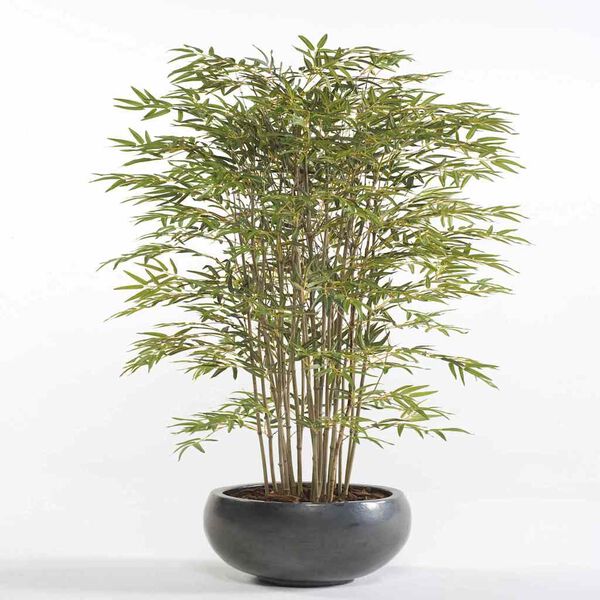 Showing Product Image 1 of 2