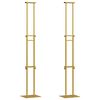vidaXL Izstāžu stendi 2 pcs Zelts 30 x 23,5 x 210 cm Tērauds