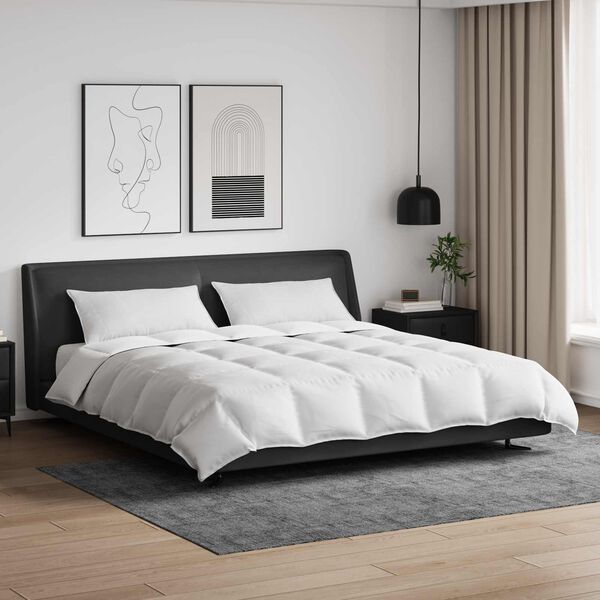 vidaXL Segas komplekts ar spilvenu 3 pcs Balts Dūnu spalva