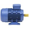 vidaXL trīsfāžu motors, alumīnijs, 2,2 kW/3 zs, 2 poli, 2840 apgr./min