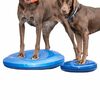 FitPAWS mājdzīvnieku līdzsvara disks, 36 cm, zils