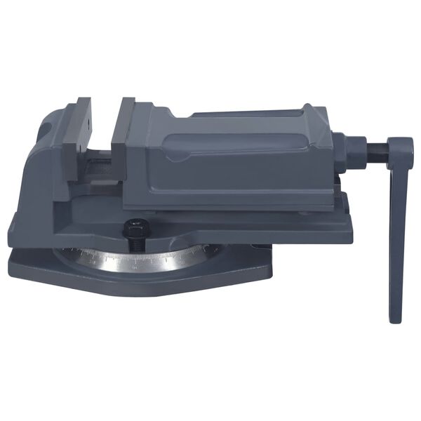 vidaXL grozāmas skrūvspīles, čuguns, 125 mm