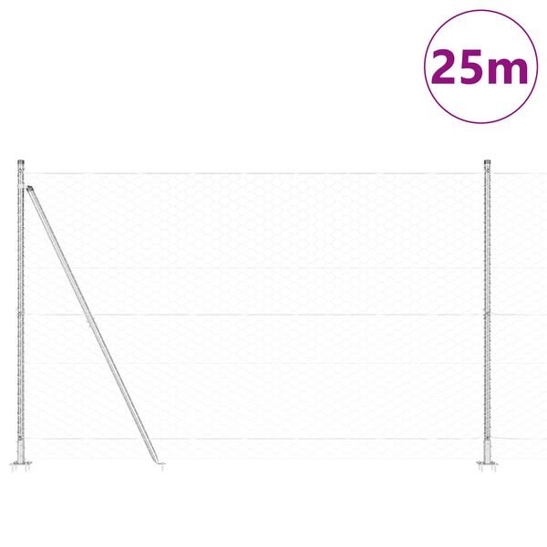 vidaXL Žoga āķis Sudraba 25 x 1,4 m (50 mm tīkls) Tērauds