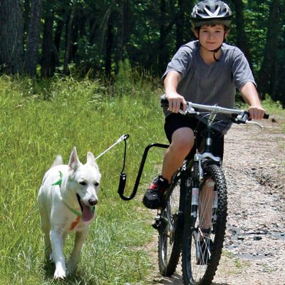 SPRINGER velosipēda suņu pavadas komplekts