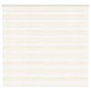 vidaXL žalūzijas zebra 165x150 cm auduma platums 160,9 cm poliesters