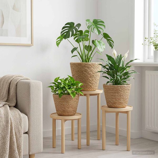 Showing Product Image 2 of 8