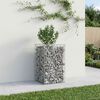vidaXL Gabions pacelta gulta Sudraba 50 x 50 x 80 cm Cinkots tērauds