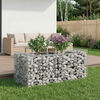 vidaXL Gabions pacelta gulta Sudraba 50 x 100 x 60 cm Cinkots tērauds