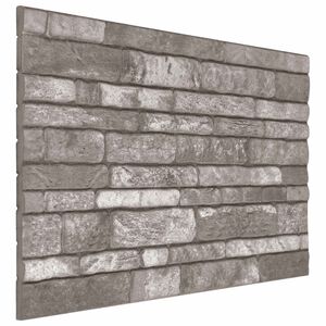 vidaXL Sienas paneļi 10 gab. 100 x 50 cm Tum&scaron;i pelēka EPS putas