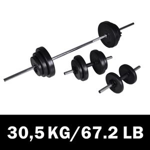 vidaXL svaru stieņa un 2 hanteļu komplekts, 30,5 kg