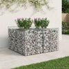 vidaXL Gabions pacelta gulta Sudraba 100 x 100 x 60 cm Cinkots tērauds