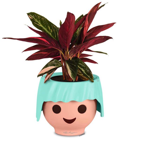 LECHUZA puķu kaste OJO ALL-IN-ONE, jūras zaļa