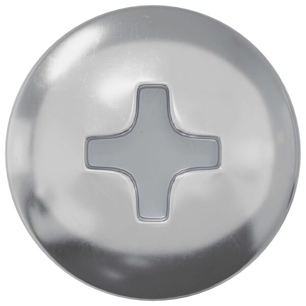 vidaXL Koka skrūve 12 pcs Sudraba 9,8 x 53 mm Tērauds