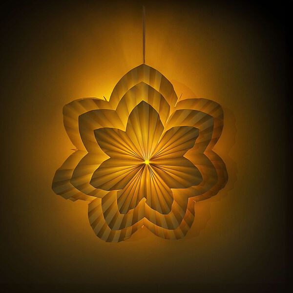Showing Product Image 4 of 7
