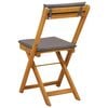 vidaXL dārza bistro krēsli, 2 gab., akācijas masīvkoks