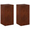 vidaXL Augu statīvs 2 pcs Rūsa 30 x 30 x 60 cm Novecināts tērauds