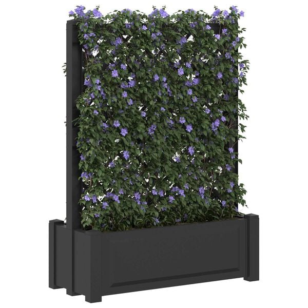 Showing Product Image 2 of 6
