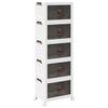 vidaXL Glabā&scaron;anas kaste ar riteņiem 5 līmeņu, 28 L, 48,5x29,5x139 cm