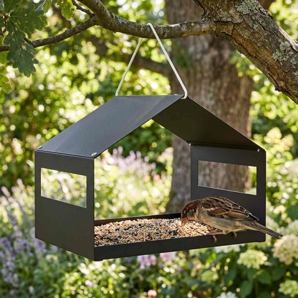 Showing Product Image 2 of 6