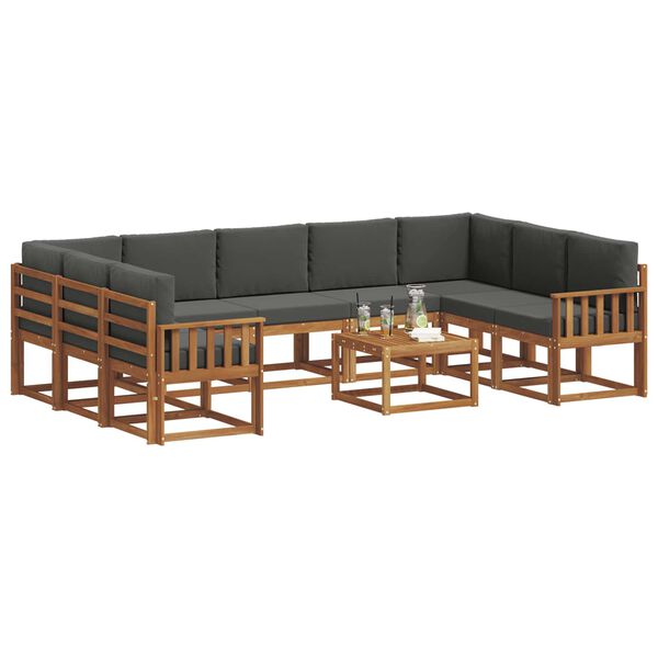 vidaXL Āra dīvānu komplekts ar spilvenu 10 pcs Dabisks un antracīts