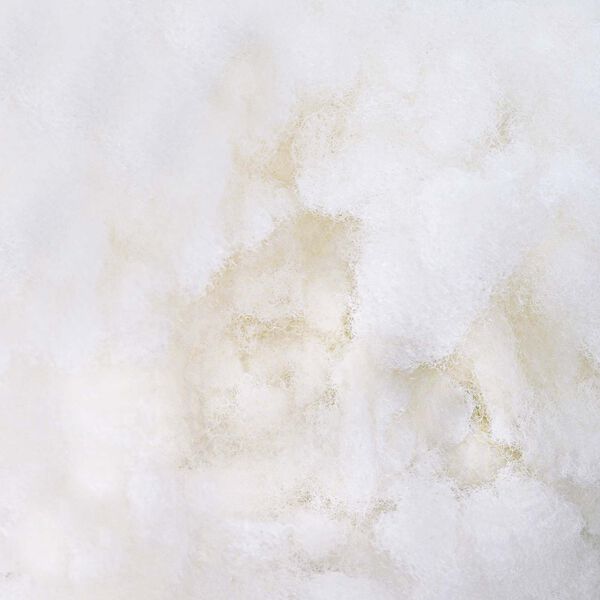 vidaXL &Scaron;ķiedru pildījums Balts 1 kg Poliesters