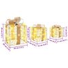vidaXL Dāvanu kaste su 60 LED 3 pcs Silti balta 20 x 20 x 20 cm PET