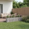 vidaXL Gabions pacelta gulta 2 pcs Sudraba 300 x 50 x 60 cm