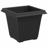 vidaXL Kvadrātveida Ziedu Pods 6 pcs Melna 16 x 16 x 14 cm Plastmasa
