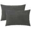 vidaXL Spilvenu pārvalks 2 pcs HEERLEN Tum&scaron;i pelēka 40 x 60 cm Samts