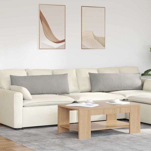 vidaXL Dīvāna spilveni 2 pcs Gaiši pelēks 120 x 40 cm audums