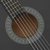 vidaXL 12-daļīgs klasiskās ģitāras komplekts iesācējiem, 4/4, 39"