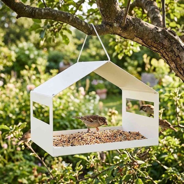 Showing Product Image 2 of 6