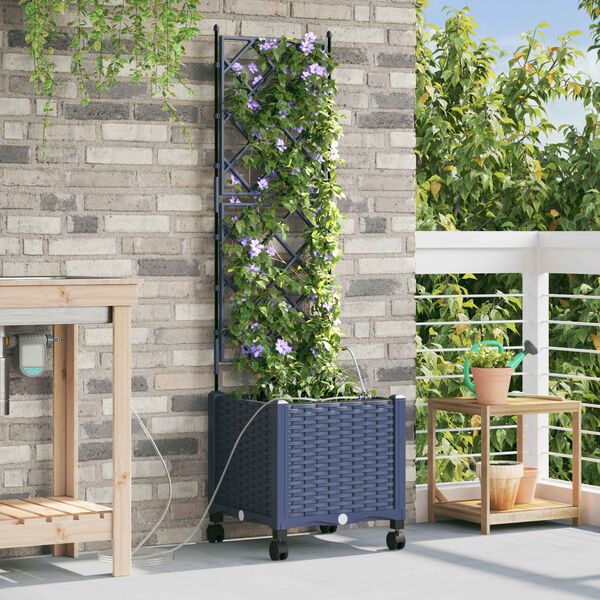 Showing Product Image 2 of 7