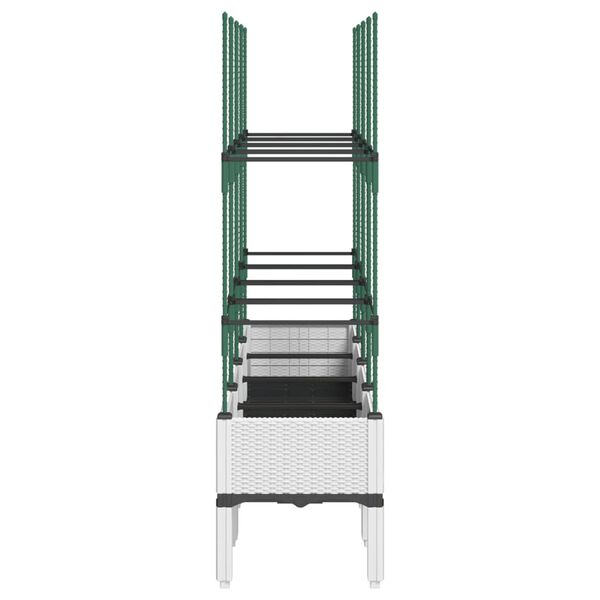 Showing Product Image 4 of 7