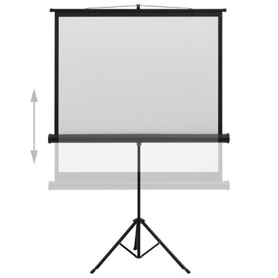 vidaXL projekcijas ekrāns ar statīvu, 48", 1:1