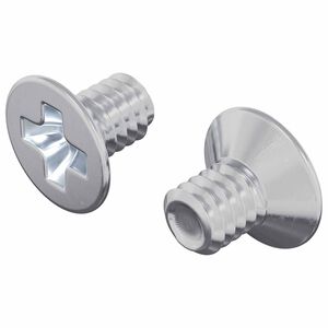 vidaXL Iegremdē&scaron;anas skrūves 2 pcs Sudraba M4 x 6 mm Tērauds