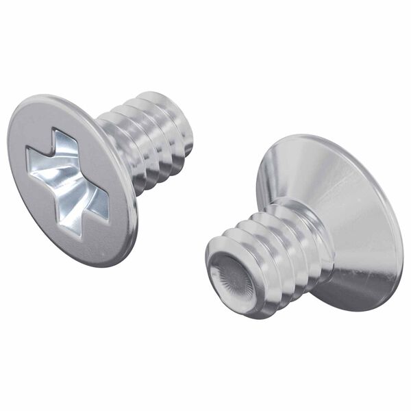 vidaXL Iegremdē&scaron;anas skrūves 2 pcs Sudraba M4 x 6 mm Tērauds